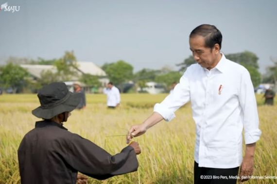 El Nino & Geopolitik, Jangan Galau, Jokowi: Cadangan Beras Cukup - JPNN.COM
