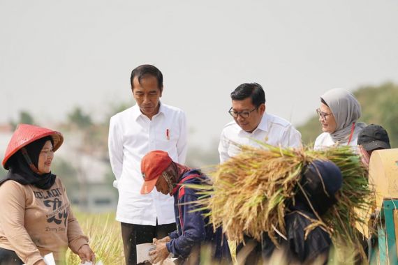 Dampingi Presiden Jokowi Saat Panen Raya di Indramayu, Plt Mentan Arief Bilang Begini - JPNN.COM