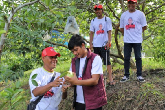 Berkat Bantuan Orang Muda Ganjar Riau, Petani Jambu Terbebas dari Hama - JPNN.COM
