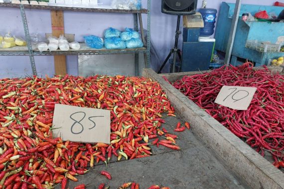 Harga Cabai Makin Pedas, Tembus Rp 90 Ribu Per Kilogram - JPNN.COM