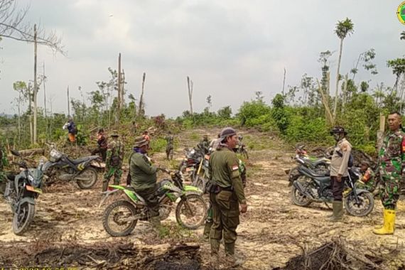 Perambah Hutan di TNTN Sabotase Jalur Petugas Patroli, Pasang Ranjau Paku - JPNN.COM