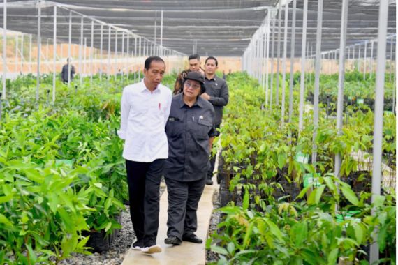 Menteri Siti Dampingi Presiden Jokowi Tinjau Persemaian Mentawir di IKN - JPNN.COM