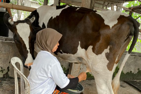 Ganjar Padjajaran Bantu Warga Tingkatkan Hasil Ternak Sapi di Bogor - JPNN.COM