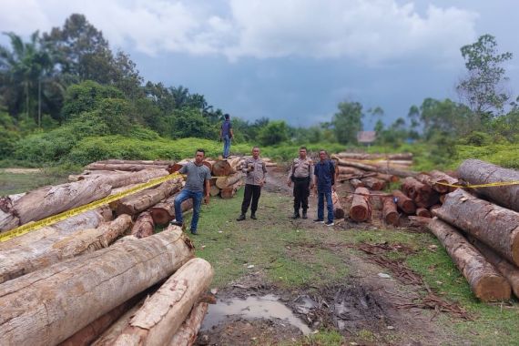 Polisi Amankan Kayu Hasil Pembalakan Liar di Kampar, Lihat - JPNN.COM