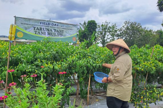 Ditjen Hortikultura Dorong Pertanian Ramah Lingkungan Melalui Pengendalian Hama Terpadu - JPNN.COM