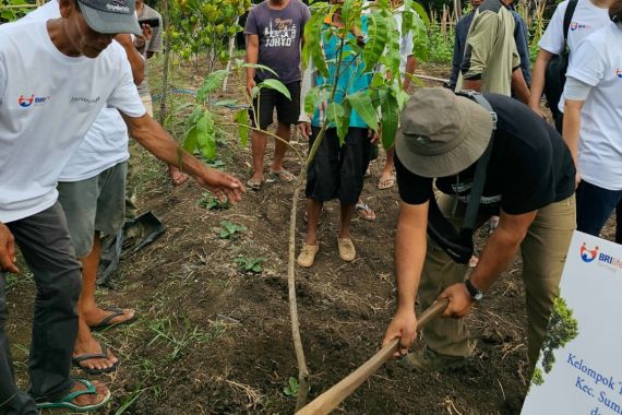 Hari Pohon Nasional 2023, BRI Life Tanam dan Bagikan Bibit Pohon - JPNN.COM