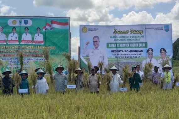 Wamentan: Kami Ingin Manokwari jadi Lumbung Pangan di Papua Barat Manokwari - JPNN.COM