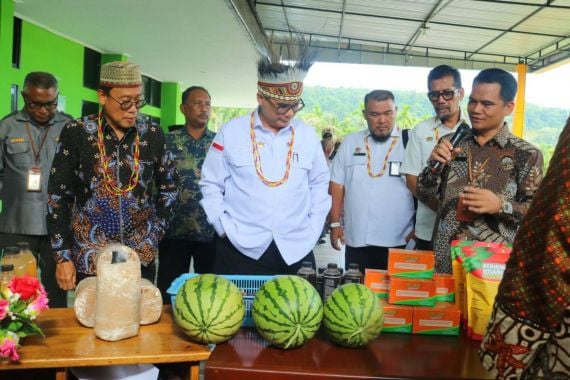 Dari Timur Indonesia, Wamentan Ajak Generasi Muda Berperan dalam Pembangunan Pertanian - JPNN.COM