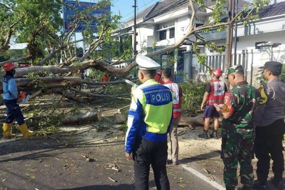 Dua Pengendara Motor di Malang Tewas Tertimpa Pohon Tumbang - JPNN.COM