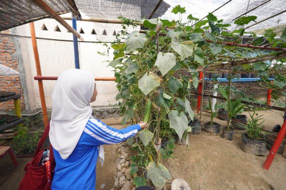 Warga Tuminting & BRI Menyulap Timbunan Sampah Jadi Lahan Urban Farming 'BRInita' - JPNN.COM