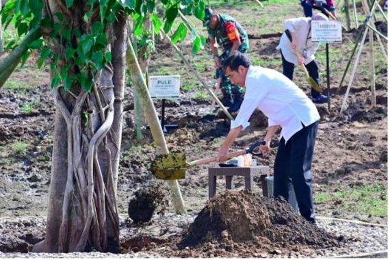Presiden Jokowi Menanam Pohon Bersama Masyarakat Embung Anak Munting NTT - JPNN.COM