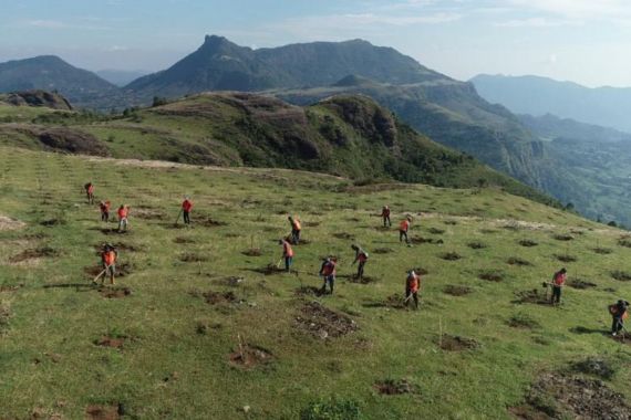 Surveyor Indonesia Cabang Makassar Revitalisasi Taman Binaan Tamalate - JPNN.COM