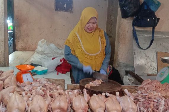 Menjelang Nataru, Harga Ayam Potong di Palembang Mulai Naik - JPNN.COM