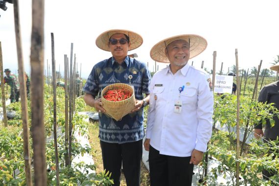 Cabai di Jateng Melimpah, Pj Gubernur Nana Optimistis Harganya Akan Turun - JPNN.COM