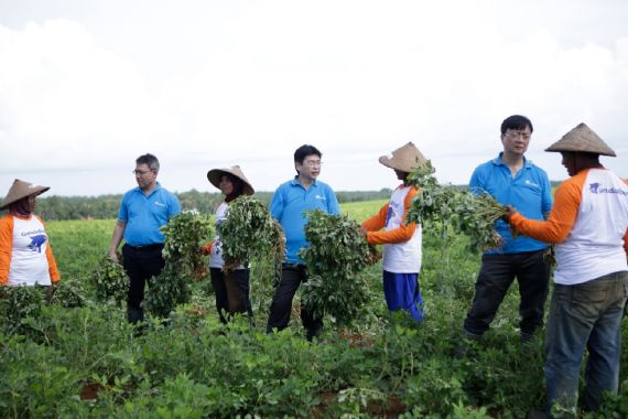 2023 Musim Terpanas Sepanjang Sejarah, Petani Kacang Mengaku Tetap Untung - JPNN.COM
