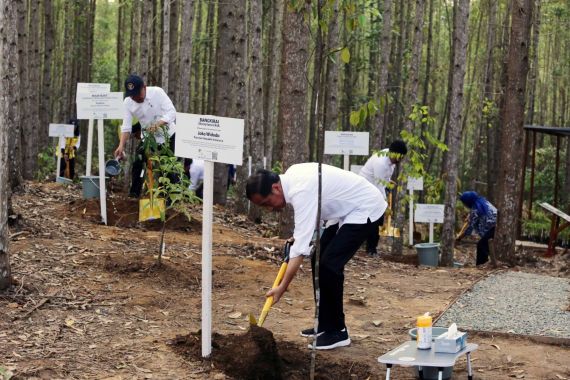 PT Tirta Investama Bangun Miniatur Hutan Hujan Tropis di IKN - JPNN.COM