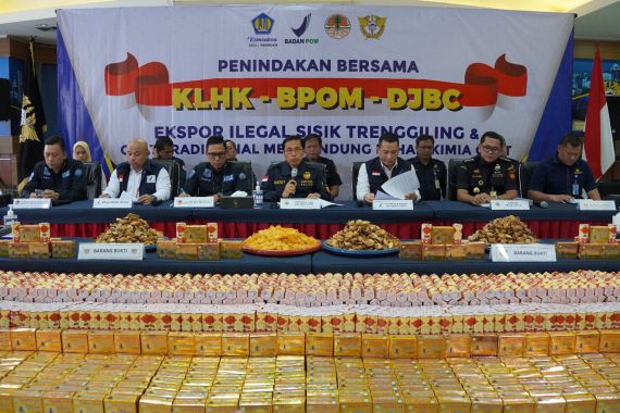 Penyelundupan Sisik Trenggiling & Obat Ilegal Digagalkan Bea Cukai Soetta, Banyak Banget! - JPNN.COM