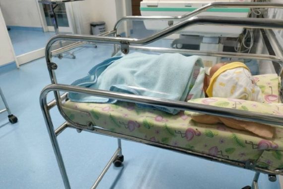 Bayi Baru Dilahirkan Dibuang di Pekarangan Rumah Warga - JPNN.COM
