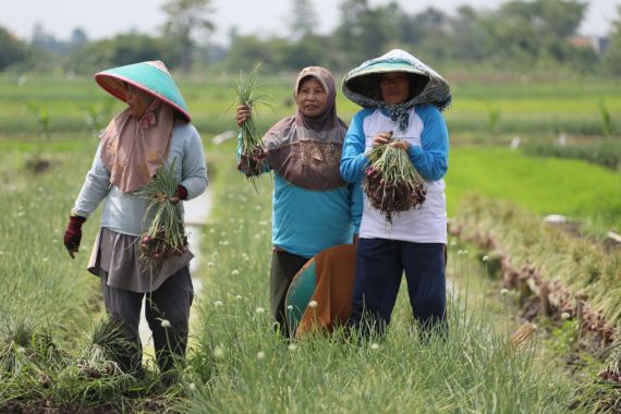 Pakar Pertanian Apresiasi Kebijakan Pangan dan Pertanian di Era Jokowi - JPNN.COM