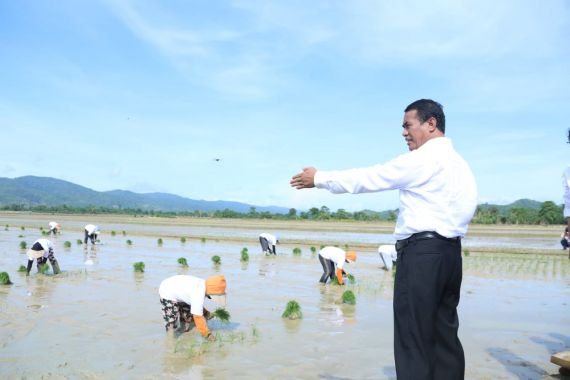 Mentan Amran Dorong Petani Percepat Masa Tanam di Awal Musim Hujan - JPNN.COM