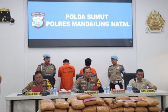 2 Kurir Narkoba Ditangkap Polres Mandailing Natal, Sebegini Barang Buktinya - JPNN.COM