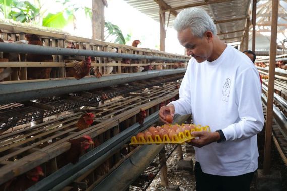 Ganjar Masuk ke Kandang Ayam, Terkenang Masa Hidup Berat saat Satu Telur Dibagi Empat - JPNN.COM