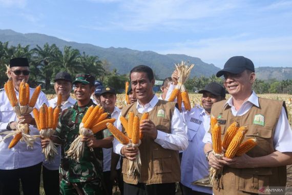 Mentan Amran Optimistis Indonesia Bakal Kembali Bisa Melakukan Ekspor Jagung - JPNN.COM