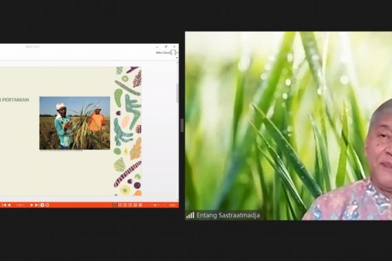 Demi Swasembada Pangan, Kementan Tingkatkan Produksi Padi & Jagung - JPNN.COM