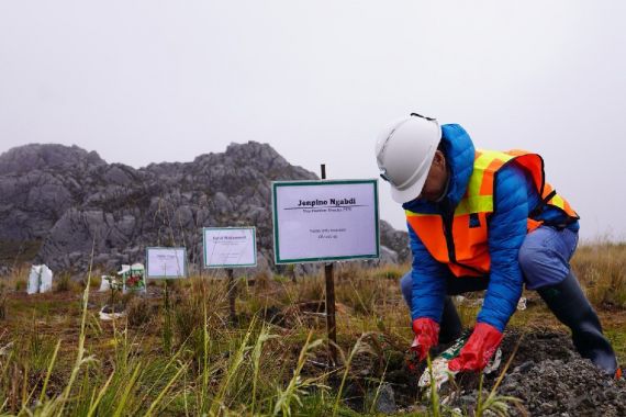 Kunker ke PTFI, Tim KLHK & Bappenas Tanam Rumput Endemik di Ketinggian 4.300 Mdpl - JPNN.COM