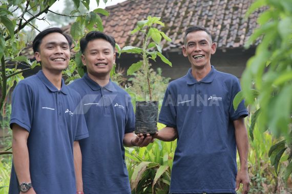 Lebih 6 Juta Pohon Ditanam Lewat Program Hutan Pertamina, Ini Daerah Sebarannya - JPNN.COM