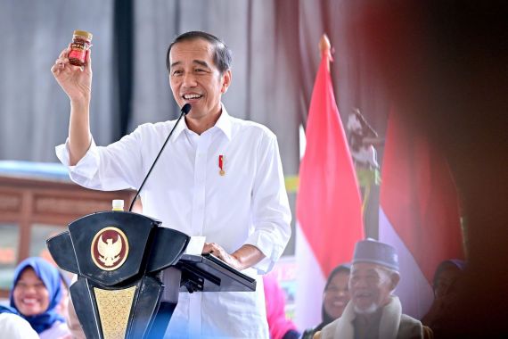 Dinilai Menarik, Produk Nasabah PNM Mekaar Ini dapat Sorotan dari Jokowi - JPNN.COM