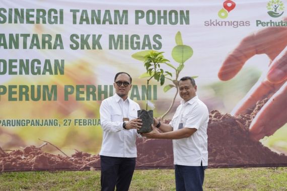 Perhutani dan SKK Migas Tanam Ribuan Bibit Pohon di Bogor - JPNN.COM