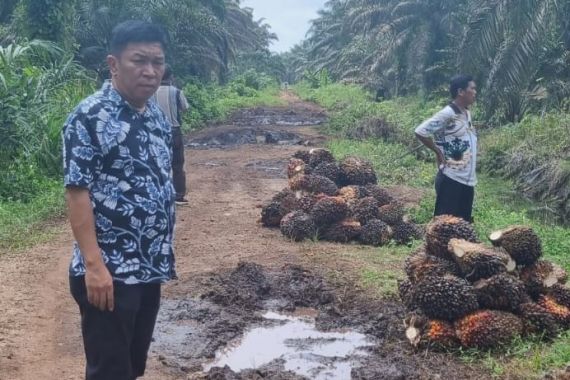 Konflik Lahan di Kampar Makan Korban, Kelompok Tani RSA Tagih Janji KLHK - JPNN.COM