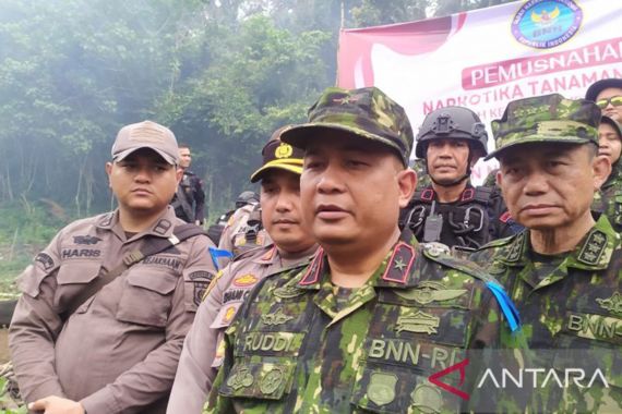 BNN Bergerak, Pemilik Ladang Ganja 4 Hektare di Aceh Besar Siap-Siap Saja - JPNN.COM