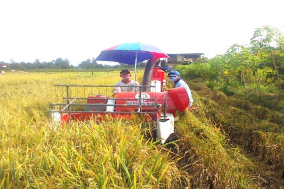 Penyuluh dan Petani di Sorong Berkolaborasi Meningkatkan Hasil Panen - JPNN.COM