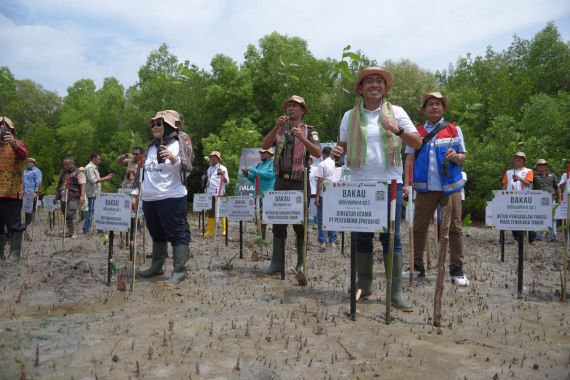 Dukung Upaya Mitigasi Perubahan Iklim, Pertamina Rehabilitasi Mangrove di Kupang NTT - JPNN.COM