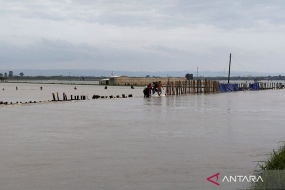 Banjir di Demak Makin Meluas, 44 Desa pada 8 Kecamatan Terdampak - JPNN.COM