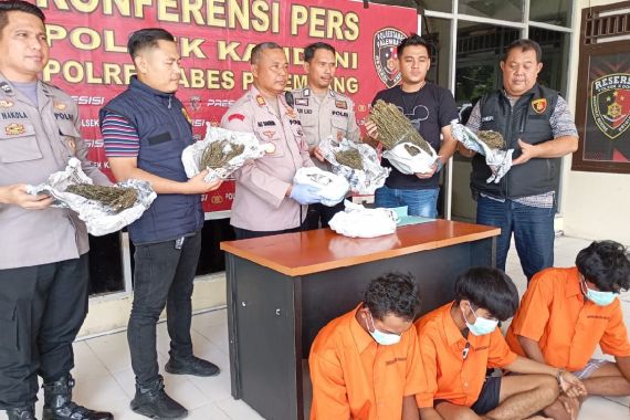 3 Pengedar Ganja Ditangkap di Palembang, Ada yang Kenal? - JPNN.COM