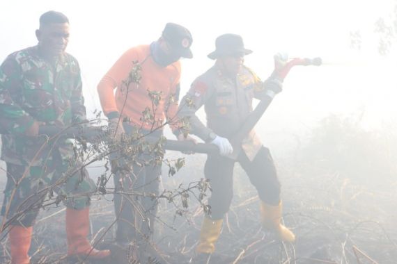 50 Hektare Lahan Gambut di Pelalawan Terbakar - JPNN.COM