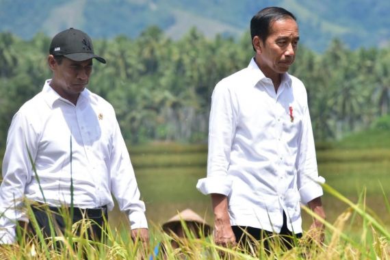 Didampingi Mentan Amran Kunjungi Panen Padi di Sigi, Jokowi: Bagus - JPNN.COM