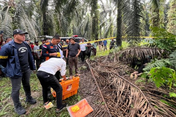 Heboh Penemuan Korban Pembunuhan di Pelalawan, Tubuhnya Penuh Luka - JPNN.COM