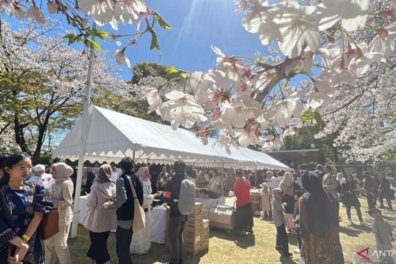 Indahnya, Lebaran di Jepang Ditemani Bunga Sakura - JPNN.COM