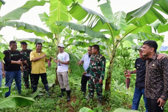 Pisang Cavendish Sudah Berbuah, Lihat tuh Senyum Pj Gubernur Sulsel Bahtiar - JPNN.COM