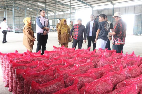 Bawang Merah di Brebes Gagal Panen, Satgas Pangan Polri Lakukan Pendekatan Ini - JPNN.COM