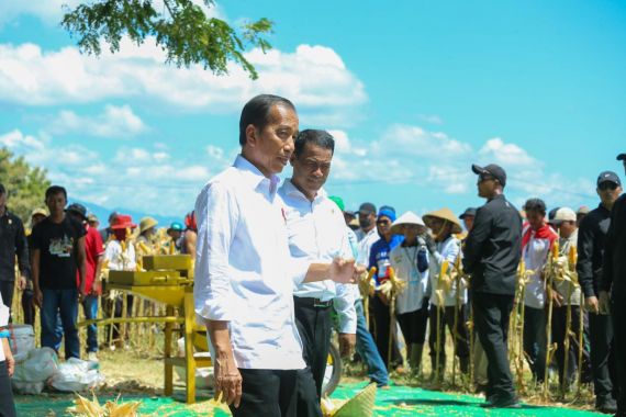 Tinjau Panen Jagung Bersama Mentan di Sumbawa, Jokowi: Semua Pihak Ambil Langkah - JPNN.COM