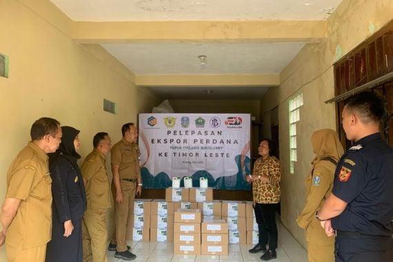 Bea Cukai Malang Kawal Ekspor Perdana Pupuk Organik Limbah Kotoran Sapi ke Timor Leste - JPNN.COM
