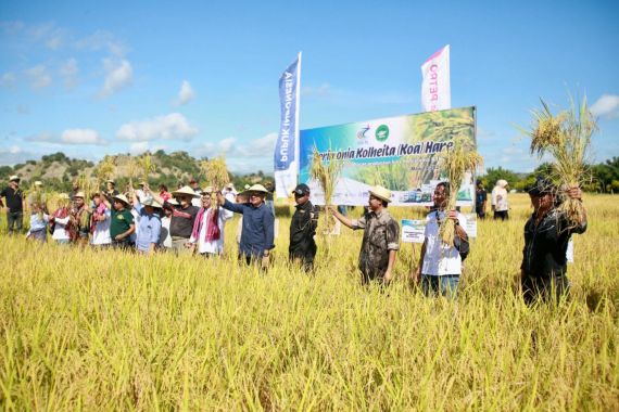 Petrokimia Gresik dan Pupuk Indonesia Berhasil Tingkatkan Produktivitas Padi di Timor Leste - JPNN.COM