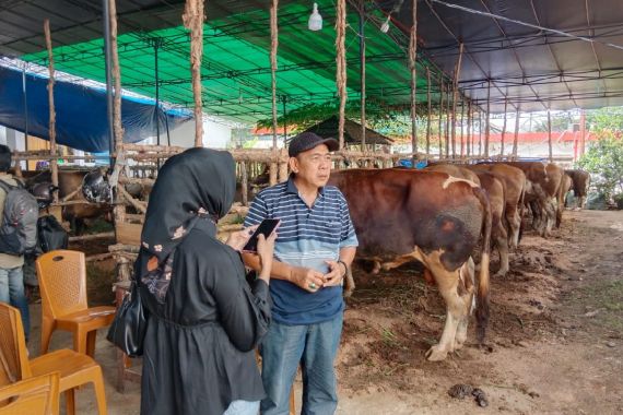 Penjual Hewan Kurban di Palembang Mulai Banjir Pesanan - JPNN.COM