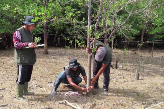 YKAN Turut Lestarikan Sumber Air & Mata Pencaharian Lewat Restorasi Mangrove Berbasis Masyarakat - JPNN.COM