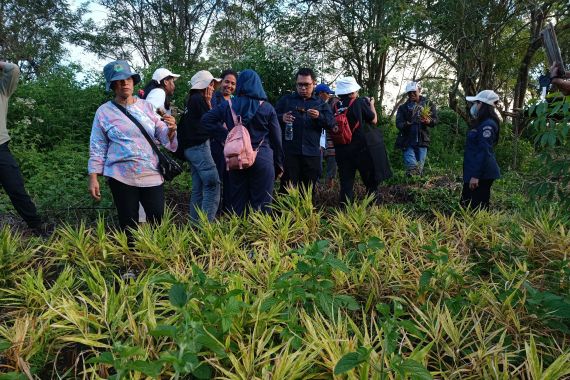 Kementan: Ada 2 Komoditas yang Dikembangkan dalam Program HDDAP di Kabupaten Ende - JPNN.COM